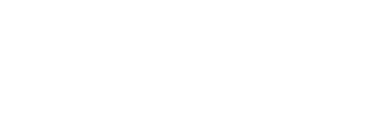 Vega Security logo
