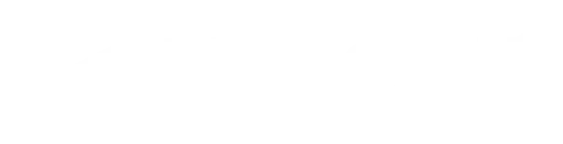 Finout logo